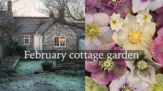 February Cottage Garden  Hellebores Snowdrops and Early Flowers Tour [upl. by Gusba]