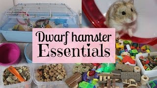 Dwarf Hamster Essentials [upl. by Rik]