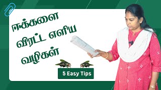 How to get rid of house flies ஈக்களை விரட்ட 5 எளிய வழிகள்  In Tamil [upl. by Bondon700]