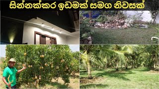 මෙන්න වටිනා ඉඩමක්  සින්නක්කර ඔප්පු  idam lanka  land sale in srilanka [upl. by Anjali]