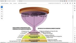 1 Construa uma tabela citando e CONCEITUANDO com suas próprias palavras cada uma dessas quatro fase [upl. by Nahgeem]