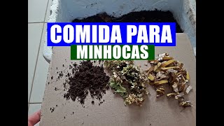 3 ALIMENTOS QUE VOCÊ TEM EM CASA QUE AS MINHOCAS ADORAM [upl. by Eioj]