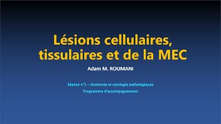 ACP  Lésions cellulaires tissulaire et de la MEC [upl. by Iramohs]