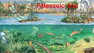 Paleozoic era CambriaPeriod OrdovicianPeriod SilurianDevonian Carboniferous tetrapods [upl. by Annodam211]