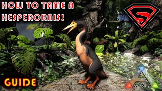 ARK HOW TO TAME A HESPERORNIS 2020  EVERYTHING YOU NEED TO KNOW ABOUT TAMING A HESPERORNIS [upl. by Keelia]