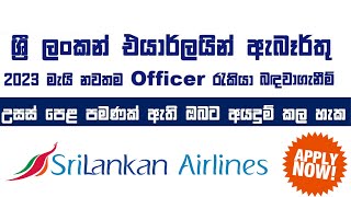 sri lankan airline job vacancies 2023 Job Vacancies in Sri Lanka  Airport Jobs in Sri Lanka 2023 [upl. by Sybley]