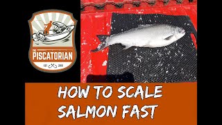 How To Scale Salmon Fast [upl. by Anilac]