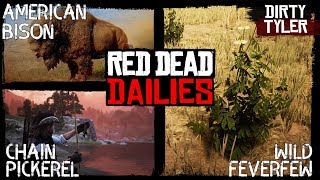 RDR2 Wild Feverfew Bison and chain Pickerel locations  Daily Challenges Red Dead Online [upl. by Renard]