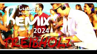 Treibholz REMIX 2024  Klaus Falk feat KI  Sommerparty in Brandenburg [upl. by Arehsat803]