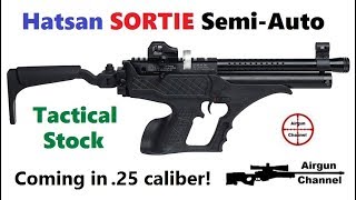 Hatsan SORTIE w Tactical Stock Ataman AP16 amp Umarex MP BB Machine Gun [upl. by Jowett267]