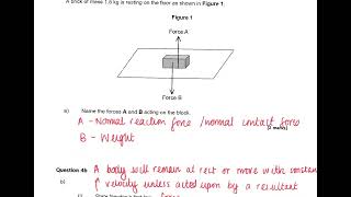 Physics Year 12 Newtons Laws Easy Qs [upl. by Persis]