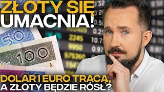 ZŁOTY odrabia STRATY a RPP ZASKAKUJE BizWeek [upl. by Salvatore688]