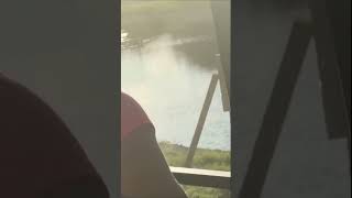 Terrifying Alligator Encounter Teachers Close Call [upl. by Aile622]