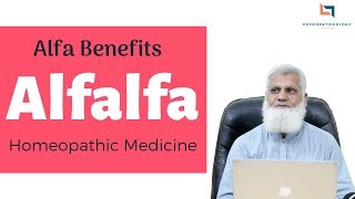 Alfalfa Homeopathic Medicine URDU  What is Alfalfa Tonic Alfa Benefits amp Uses [upl. by Llecrep]