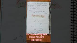 Light reaction Calvin cycle l motivation neet handwrittenotes biology [upl. by Notlew]