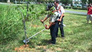 How To Use a Clearing Saw [upl. by Rentschler]