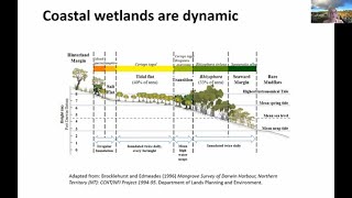 Part 2 Coastal wetlands are dynamic global change models need local data [upl. by Martine892]