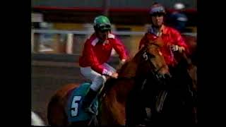 Northlands Park Thoroughbred Racing 1993 part 1 [upl. by Marna]