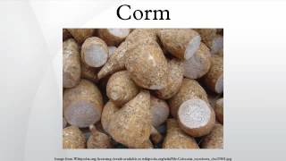 Corm [upl. by Euseibbob]