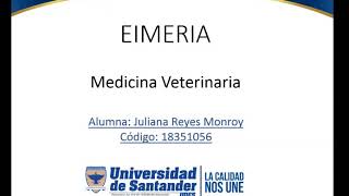 Eimeria  Parasitologia Veterinaria [upl. by Ahk]