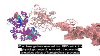 Haptoglobin [upl. by Mahgirb]