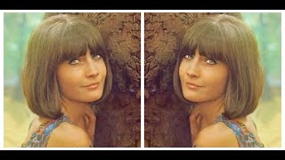 SANDIE SHAW  Girl Dont Come  Theres Always Something There To Remind Me  Long Live Love [upl. by Pacifica]