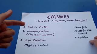 Legumes Leguminous plants How are Legumes useful in Nitrogen fixation and crop rotation [upl. by Gabriellia847]