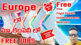 FREE JOBS AND VISA SPONSERSHIP VML  Telugu Travel Vlogs  Telugu Vlogs From Europe  Jobs in Europe [upl. by Manon]