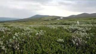 Pilegrimsleden over Dovrefjell [upl. by Llerud360]