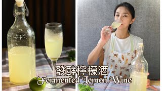 自製發酵檸檬酒蜂蜜檸檬酒酸甜好滋味。銅板價就能做一大缸Fermented lemon wine Eng Sub【cc字幕】 [upl. by Nileuqaj]