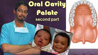 7 Oral Cavity  Palate 2 [upl. by Maximilien]