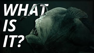 The Creepiest UNEXPLAINED Sounds Ever Heard in the Ocean [upl. by Oiredised797]