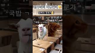 친구끼리 여행갈때 슈뢰딩거의고양이 고양이귀엽 [upl. by Intosh]