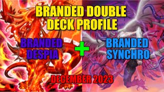 Two Branded Profiles for the Price of One  Branded Despia  Branded Synchro December 2023 [upl. by Hatty628]