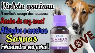 O melhor produto para alergias e coceiras em cães SANTO REMÉDIO Baratinho [upl. by Mcmurry]