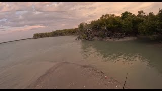 Crabbing Adventure in Local Creek [upl. by Cecile]