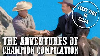 The Adventures of Champion Compilation  COLORIZED  Full Episodes [upl. by Vanden973]