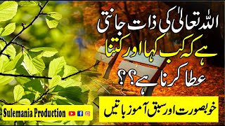 ALLAH Kay Faislay Aur Hikmat Quotes in Urdu  Amazing Quotes  Sulemania Producion [upl. by Amisoc829]