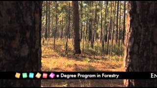 Meet Paul Jacobs Forestry Management Graduate and HGTC Student Success Story [upl. by Picardi934]