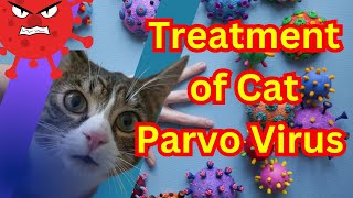 Diagnose and Treat Feline Panleukopenia Virus FPV Tips to Save Your Cats Life [upl. by Ennaylloh]