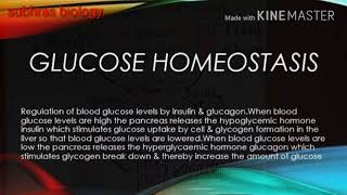 Homeostasis of Glucose [upl. by Wincer]