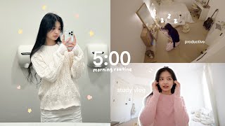 5 AM Uni Student Morning Routine Simple Yet Productive Morning Studying for Final Exams amp Vlogmas [upl. by Renfred]