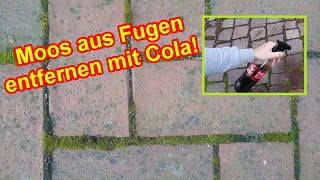 Moos aus Fugen entfernen amp verhindern mit Cola – Moos bei Pflasterfugen bekämpfen Anleitung [upl. by Ihel732]