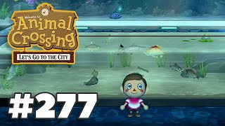 Errands amp Stringfish  Animal Crossing City Folk Lets Play Ep 277 [upl. by Lukasz]