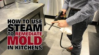 How to Use Steam to Remediate Mold in Kitchens  Dupray Steam Cleaners [upl. by Lemrac]