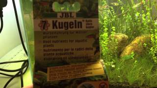 JBL Kugeln Balls for depleted substrate [upl. by Valentino47]