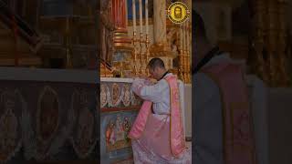 Holy Mass celebrated at the Altar of Most Holy Crowned Saint Joseph of Palmar [upl. by Urbannai63]