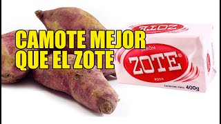 Camote mejor que el ZOTE planta que sirve para jabón [upl. by Nawud]