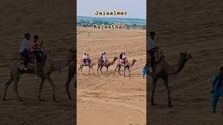 Sam Sand Dunes Jaisalmer 🏜️ desert camel RajasthanTourism shorts thar camelride travel [upl. by Rie]