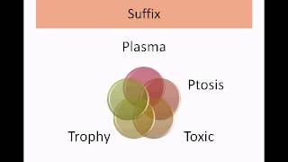 Medical Terminology Part 1Intro to Root Prefix Suffix [upl. by Ynavoeg602]